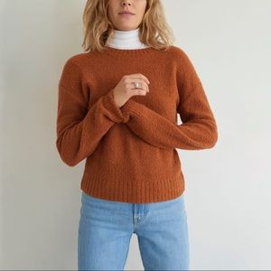 Everlane Teddy crew neck sweater